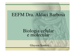 EEFM Dra. Aldaci Barbosa


     Biologia celular
       e molecular

        Glayson Sombra
 