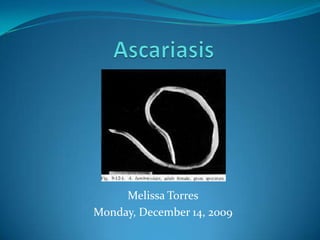 Ascariasis Melissa Torres Monday, December 14, 2009 