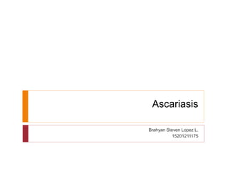 Ascariasis
Brahyan Steven Lopez L.
15201211175
 