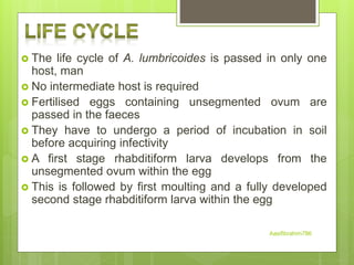 The life cycle of A. lumbricoides is passed in only one
host, man
 No intermediate host is required
 Fertilised eggs containing unsegmented ovum are
passed in the faeces
 They have to undergo a period of incubation in soil
before acquiring infectivity
 A first stage rhabditiform larva develops from the
unsegmented ovum within the egg
 This is followed by first moulting and a fully developed
second stage rhabditiform larva within the egg
Aasifibrahim786
 