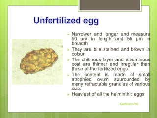  Narrower and longer and measure
90 µm in length and 55 µm in
breadth
 They are bile stained and brown in
colour
 The chitinous layer and albuminous
coat are thinner and irregular than
those of the fertilized eggs
 The content is made of small
atrophied ovum suurounded by
many refractable granules of various
size.
 Heaviest of all the helminthic eggs
Aasifibrahim786
 