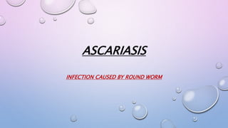 ASCARIASIS
INFECTION CAUSED BY ROUND WORM
 