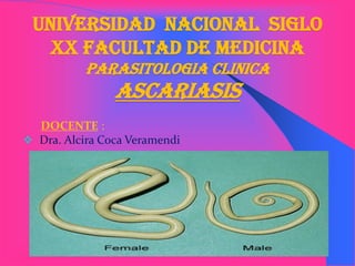 UNIVERSIDAD NACIONAL SIGLO
XX FACULTAD DE MEDICINA
PARASITOLOGIA CLINICA
ASCARIASIS
DOCENTE :
 Dra. Alcira Coca Veramendi
 