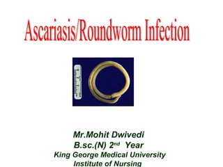 Mr.Mohit Dwivedi
B.sc.(N) 2nd
Year
King George Medical University
Institute of Nursing
 