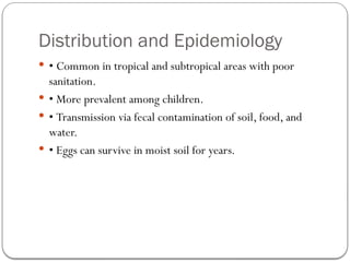 Distribution and Epidemiology
 • Common in tropical and subtropical areas with poor
sanitation.
 • More prevalent among children.
 • Transmission via fecal contamination of soil, food, and
water.
 • Eggs can survive in moist soil for years.
 