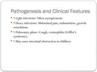 Pathogenesis and Clinical Features
 • Light infections: Often asymptomatic.
 • Heavy infections:Abdominal pain, malnutrition, growth
retardation.
 • Pulmonary phase: Cough, eosinophilia (Löffler’s
syndrome).
 • May cause intestinal obstruction in children.
 