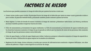 Los factores que pueden aumentar el riesgo de infección por quistes larvarios o tenia son:
Comer carne cruda o poco cocida. El principal factor de riesgo de la infección por tenia es comer carne y pescado crudos o
poco cocidos. El pescado deshidratado y ahumado también puede contener quistes larvarios.
Mala higiene. La falta de lavado de manos aumenta el riesgo de contraer y diseminar infecciones. Las frutas y verduras
sin lavar también pueden trasportar huevos de tenia.
Falta de saneamiento y tratamiento de aguas residuales. La falta de saneamiento y tratamiento de aguas residuales para
los desechos humanos aumenta el riesgo de que el ganado se infecte por los huevos de tenia de las personas. Esto aumenta
el riesgo de que las personas coman carne infectada.
Falta de agua limpia. La falta de agua limpia para beber, bañarse y preparar alimentos aumenta el riesgo de exposición a
huevos de tenia o Utilización de aguas negras en la siembra de alimentos
Regiones de alto riesgo. Areas urbanas y rurales que carecen de infraestructura sanitaria e higiene deficiente, con altos
índices de pobreza o viajar a estos lugares es un factor de riesgo.
FACTORES DE RIESGO
 