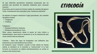 ETIOLOGÍA
Es una infección parasitaria intestinal ocasionada por un
parásito que proviene de animales utilizados para consumo
humano.
El parásito que la causa es la forma adulta de cestodos del género
Tania. Comúnmente son conocidas como "lombrices solitarias"
Se adquiere al ingerir alimentos o agua parasitada por cestodos
del género Taenia
T.Saginata
T.Solium
T.Saginata
Huesped Definitivo: Humano
Huésped Intermediario: Vaca
Tiene menos importancia desde el punto de vista clínico y
epidemiológico, pues hasta el momento no se ha demostrado que
cause cisticercosis en humanos.
T.Solium - Tiene dos tipos de huéspedes: uno definitivo (los
humanos) y otro intermediario (los cerdos).
En humanos causa “teniasis” cuando la fase adulta de Taenia
solium se establece en el intestino y “cisticercosis” si la fase
larvaria se encuentra en tejidos extraintestinales; en cerdos se
produce sólo cisticercosis.
 