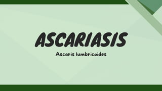 ASCARIASIS
Ascaris lumbricoides
 