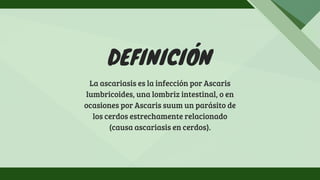 DEFINICIÓN
La ascariasis es la infección por Ascaris
lumbricoides, una lombriz intestinal, o en
ocasiones por Ascaris suum un parásito de
los cerdos estrechamente relacionado
(causa ascariasis en cerdos).
 