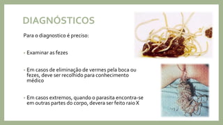 Ascaridíase - Lombriga - Ascaris Lumbricoides | PPTX