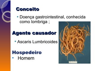 Conceito   Doença gastrointestinal, conhecida como lombriga ; Agente causador  Ascaris Lumbricoides Hospedeiro Homem   