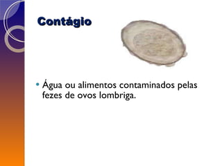 Contágio   Água ou alimentos contaminados pelas fezes de ovos lombriga.  