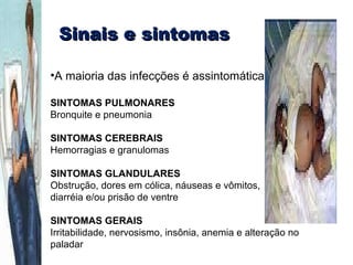 Sinais e sintomas A maioria das infecções é assintomática; SINTOMAS PULMONARES Bronquite e pneumonia SINTOMAS CEREBRAIS Hemorragias e granulomas SINTOMAS GLANDULARES Obstrução, dores em cólica, náuseas e vômitos, diarréia e/ou prisão de ventre SINTOMAS GERAIS Irritabilidade, nervosismo, insônia, anemia e alteração no paladar 