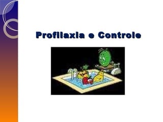 Profilaxia e Controle 
