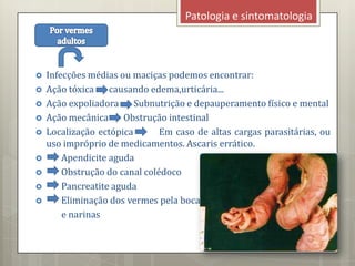 Patologia e sintomatologia
 Infecções médias ou maciças podemos encontrar:
 Ação tóxica causando edema,urticária...
 Ação expoliadora Subnutrição e depauperamento físico e mental
 Ação mecânica Obstrução intestinal
 Localização ectópica Em caso de altas cargas parasitárias, ou
uso impróprio de medicamentos. Ascaris errático.
 Apendicite aguda
 Obstrução do canal colédoco
 Pancreatite aguda
 Eliminação dos vermes pela boca
e narinas
 