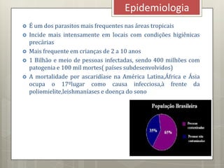  É um dos parasitos mais frequentes nas áreas tropicais
 Incide mais intensamente em locais com condições higiênicas
precárias
 Mais frequente em crianças de 2 a 10 anos
 1 Bilhão e meio de pessoas infectadas, sendo 400 milhões com
patogenia e 100 mil mortes( países subdesenvolvidos)
 A mortalidade por ascaridíase na América Latina,África e Ásia
ocupa o 17ºlugar como causa infecciosa,à frente da
poliomielite,leishmaníases e doença do sono
Epidemiologia
 