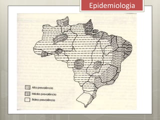 Epidemiologia
 