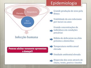 Epidemiologia
Infecção humana
Parasito
Hospedeiro
Meio
ambiente
Grande produção de ovos pela
fêmea
Viabilidade do ovo infectante
por meses ou anos
Grande concentrações de
indivíduos em condições
precárias
Hábito de defecarem no chão
próximo a domicílios
Temperatura média anual
elevada
Umidade ambiental elevada
Dispersão dos ovos através de
chuva, vento, poeira e insetos
 