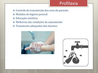  Controle da transmissão dos ovos do parasita
 Medidas de higiene pessoal
 Educação sanitária
 Melhorias das condições de saneamento
 Tratamento adequados dos doentes.
Profilaxia
 