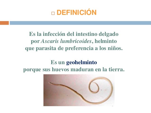 Como a los bichos las lombrices
