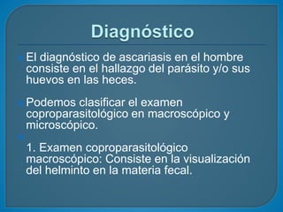  El diagnóstico de ascariasis en el hombre
consiste en el hallazgo del parásito y/o sus
huevos en las heces.
 Podemos clasificar el examen
coproparasitológico en macroscópico y
microscópico.

1. Examen coproparasitológico
macroscópico: Consiste en la visualización
del helminto en la materia fecal.
 