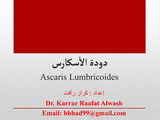 ‫سكارس‬
‫أ‬
‫ال‬‫دودة‬
Ascaris Lumbricoides
‫إعداد‬
:
‫رأفت‬ ‫كرار‬
Dr. Karrar Raafat Alwash
Email: bbhad99@gmail.com
 