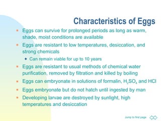 Characteristics of Eggs Eggs can survive for prolonged periods as long as warm, shade, moist conditions are available  Eggs are resistant to low temperatures, desiccation, and strong chemicals Can remain viable for up to 10 years Eggs are resistant to usual methods of chemical water purification, removed by filtration and killed by boiling Eggs can embryonate in solutions of formalin, H 2 SO 4  and HCl Eggs embryonate but do not hatch until ingested by man Developing larvae are destroyed by sunlight, high temperatures and desiccation 
