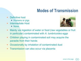 Modes of Transmission Definitive host  Humans or pigs Intermediate Host None Mainly via ingestion of water or food (raw vegetables or fruit in particular) contaminated with  A. lumbricoides  eggs Children playing in contaminated soil may acquire the parasite from their hands Occasionally by inhalation of contaminated dust Transmission can also occur via placenta 