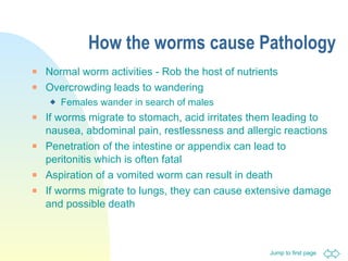 How the worms cause Pathology Normal worm activities - Rob the host of nutrients  Overcrowding leads to wandering  Females wander in search of males If worms migrate to stomach, acid irritates them leading to nausea, abdominal pain, restlessness and allergic reactions Penetration of the intestine or appendix can lead to peritonitis which is often fatal Aspiration of a vomited worm can result in death If worms migrate to lungs, they can cause extensive damage and possible death 