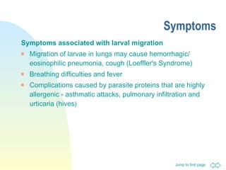Symptoms Symptoms associated with larval migration Migration of larvae in lungs may cause hemorrhagic/ eosinophilic pneumonia, cough (Loeffler's Syndrome) Breathing difficulties and fever Complications caused by parasite proteins that are highly allergenic - asthmatic attacks, pulmonary infiltration and urticaria (hives ) 