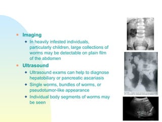 Imaging In heavily infested individuals, particularly children, large collections of worms may be detectable on plain film of the abdomen Ultrasound Ultrasound exams can help to diagnose hepatobiliary or pancreatic ascariasis Single worms, bundles of worms, or pseudotumor-like appearance Individual body segments of worms may be seen 