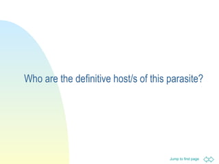 Who are the definitive host/s of this parasite? 