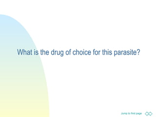 What is the drug of choice for this parasite? 