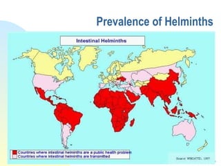 Prevalence of Helminths 