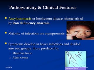 03/05/09 Dr Ekta, Microbiology
Pathogenicity & Clinical Features
Pathogenicity & Clinical Features
 Ancylostomiasis
Ancylostomiasis or hookworm disease, characterised
or hookworm disease, characterised
by
by iron deficiency anaemia
iron deficiency anaemia
 Majority of infections are asymptomatic
Majority of infections are asymptomatic
 Symptoms develop in heavy infections and divided
Symptoms develop in heavy infections and divided
into two groups: those produced by
into two groups: those produced by
1.
1. Migrating larvae
Migrating larvae
2.
2. Adult worms
Adult worms
Filariform larvae
 