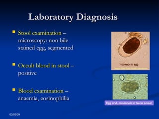 03/05/09
Laboratory Diagnosis
Laboratory Diagnosis
 Stool examination
Stool examination –
–
microscopy: non bile
microscopy: non bile
stained egg, segmented
stained egg, segmented
 Occult blood in stool
Occult blood in stool –
–
positive
positive
 Blood examination
Blood examination –
–
anaemia, eosinophilia
anaemia, eosinophilia
Egg of A. duodenale in faecal smear
 
