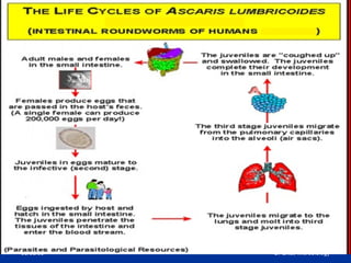 03/05/09 Dr Ekta, Microbiology
 