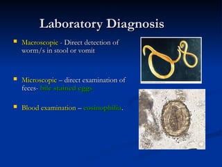 Laboratory Diagnosis
Laboratory Diagnosis
 Macroscopic
Macroscopic - Direct detection of
- Direct detection of
worm/s in stool or vomit
worm/s in stool or vomit
 Microscopic
Microscopic – direct examination of
– direct examination of
feces-
feces- bile stained eggs
bile stained eggs
 Blood examination
Blood examination –
– eosinophilia
eosinophilia.
.
 