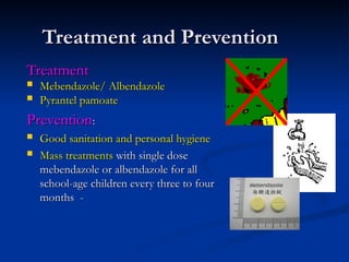 Treatment and Prevention
Treatment and Prevention
Treatment
Treatment
 Mebendazole/ Albendazole
Mebendazole/ Albendazole
 Pyrantel pamoate
Pyrantel pamoate
Prevention
Prevention:
:
 Good sanitation and personal hygiene
Good sanitation and personal hygiene
 Mass treatments
Mass treatments with single dose
with single dose
mebendazole or albendazole for all
mebendazole or albendazole for all
school-age children every three to four
school-age children every three to four
months -
months -
 