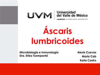 Áscaris
        lumbricoides
Microbiología e Inmunología   Alexis Cuevas
Dra. Erika Tzompantzi            María Cab
                                Karla Castro
 