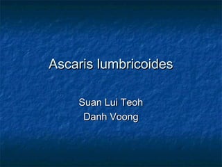 Ascaris lumbricoides

    Suan Lui Teoh
     Danh Voong
 
