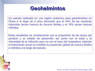 Geohelmintos
Un estudio realizado en una región endémica para geohelmintos en
China a lo largo de 2 años demostró que el 44% de las muestras
obtenidas tenían huevos de Ascaris fértiles y el 19% tenían huevos
infértiles.

Estos resultados se correlacionan con la proporción de los sexos del
parásito y su estado de desarrollo, así como con la edad y la
intensidad de la infección pero no con el sexo del hospedero; además
el tratamiento anual no modificó la proporción global de huévos fértiles
e infértiles a lo largo del estudio.




                                          Flisser A, Perez Tamayo R. Parasitología..2006
 