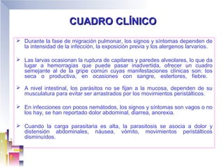 CUADRO CLÍNICO
 Durante la fase de migración pulmonar, los signos y síntomas dependen de
  la intensidad de la infección, la exposición previa y los alergenos larvarios.

 Las larvas ocasionan la ruptura de capilares y paredes alveolares, lo que da
  lugar a hemorragias que puede pasar inadvertida, ofrecer un cuadro
  semejante al de la gripe común cuyas manifestaciones clínicas son: tos
  seca o productiva, en ocasiones con sangre, estertores, fiebre.

 A nivel intestinal, los parásitos no se fijan a la mucosa, dependen de su
  musculatura para evitar ser arrastrados por los movimientos peristálticos.

 En infecciones con pocos nemátodos, los signos y síntomas son vagos o no
  los hay, se han reportado dolor abdominal, diarrea, anorexia.

 Cuando la carga parasitaria es alta, la parasitosis se asocia a dolor y
  distensión abdominales, náusea, vómito, movimientos peristálticos
  disminuídos.
 