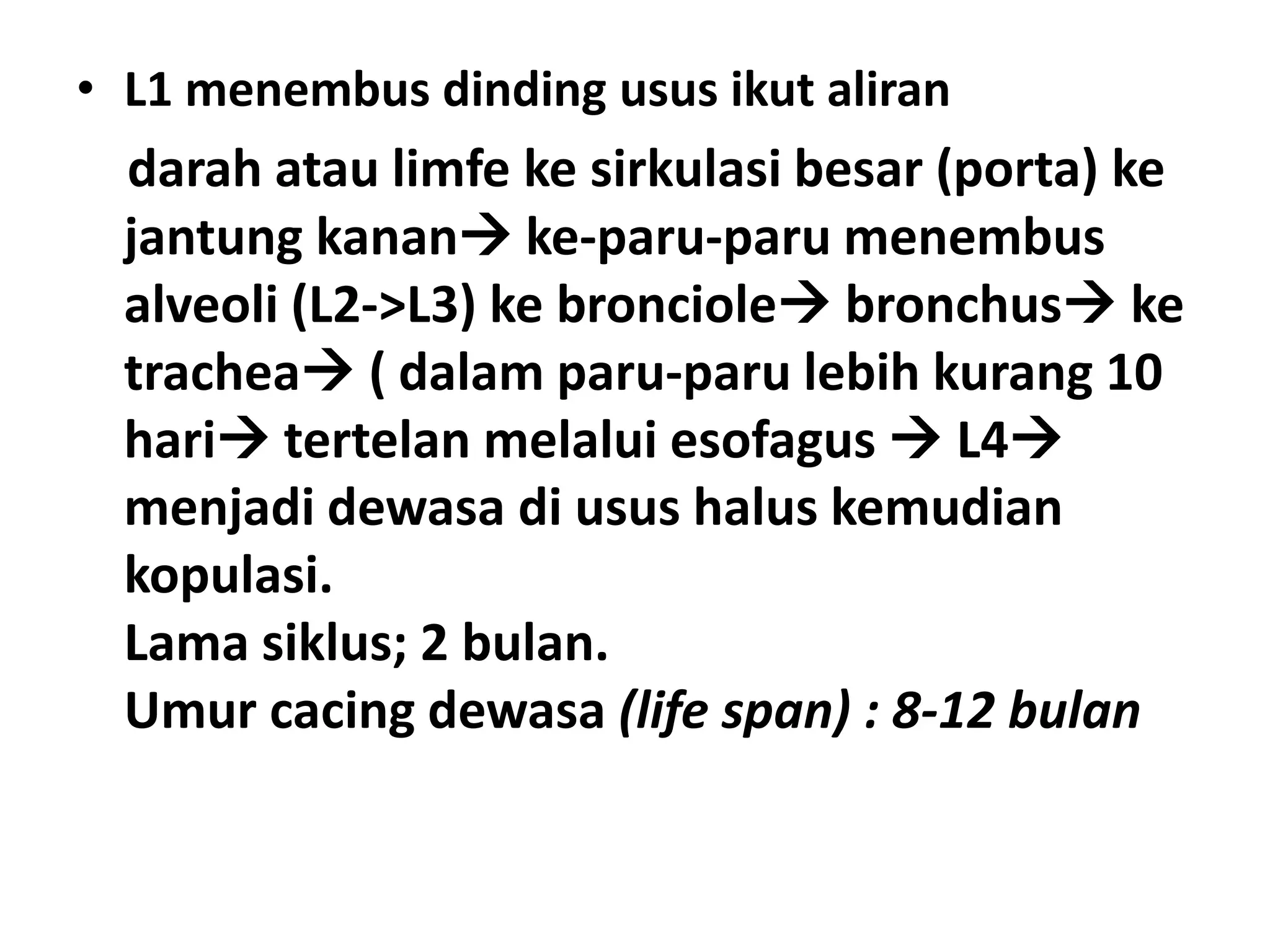Ascaris-lumbricoides-15-2048.jpg