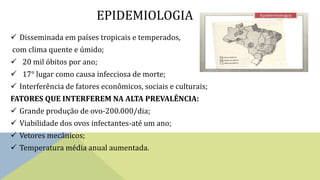 EPIDEMIOLOGIA
 Disseminada em países tropicais e temperados,
com clima quente e úmido;
 20 mil óbitos por ano;
 17° lugar como causa infecciosa de morte;
 Interferência de fatores econômicos, sociais e culturais;
FATORES QUE INTERFEREM NA ALTA PREVALÊNCIA:
 Grande produção de ovo-200.000/dia;
 Viabilidade dos ovos infectantes-até um ano;
 Vetores mecânicos;
 Temperatura média anual aumentada.
 
