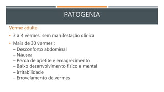 PATOGENIA
Verme adulto
• 3 a 4 vermes: sem manifestação clínica
• Mais de 30 vermes :
– Desconforto abdominal
– Náusea
– Perda de apetite e emagrecimento
– Baixo desenvolvimento físico e mental
– Irritabilidade
– Enovelamento de vermes
 