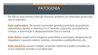 PATOGENIA
• De 100 ou mais vermes (infecção massiva), podemos ter alterações graves que
são as seguintes:
Ação exploradora: Os vermes consomem grande quantidade de proteínas,
carboidratos, lipídios e vitaminas A e C levando o paciente, principalmente
crianças, à subnutrição e depauperamento físico e mental;
Ação tóxica: reação entre antígenos parasitários e anticorpos alergizantes do
hospedeiro, causando edema, urticária, convulsões e epileptiformes, etc.;
Ação mecânica: causam irritação na parede intestinal e podem enovelar-se
na luz intestinal, levando à sua obstrução.
 
