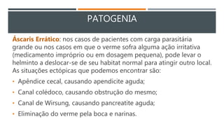 PATOGENIA
Áscaris Errático: nos casos de pacientes com carga parasitária
grande ou nos casos em que o verme sofra alguma ação irritativa
(medicamento impróprio ou em dosagem pequena), pode levar o
helminto a deslocar-se de seu habitat normal para atingir outro local.
As situações ectópicas que podemos encontrar são:
• Apêndice cecal, causando apendicite aguda;
• Canal colédoco, causando obstrução do mesmo;
• Canal de Wirsung, causando pancreatite aguda;
• Eliminação do verme pela boca e narinas.
 