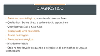DIAGNÓSTICO
• Métodos parasitológicos: encontro de ovos nas fezes:
– Qualitativos: Exame direto e sedimentação espontânea
– Quantitativos: Stoll e Kato-Katz.
• Pesquisa de larva no escarro.
• Exame de imagem.
• Métodos imunológicos:
– Intradermorreação
– Úteis na fase larvária ou quando a infecção se dá por machos de Ascaris
lumbricoides
 